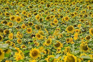 深蓝航天完成新一轮融资 重点加速可回收液体火箭